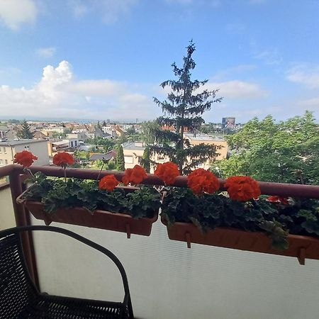 Apartman Lienka Free Parking City Centre Trenčín Kültér fotó