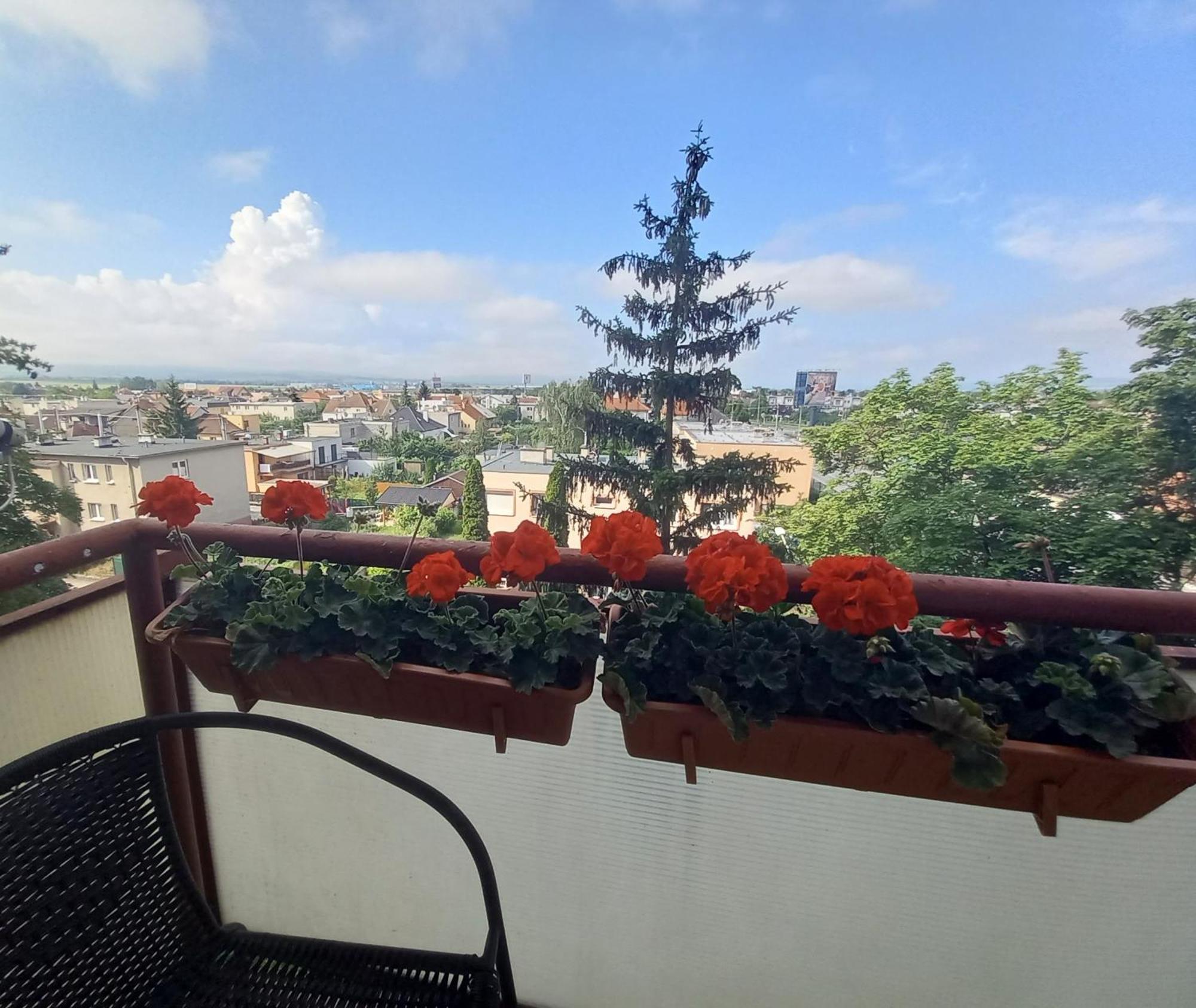 Apartman Lienka Free Parking City Centre Trenčín Kültér fotó
